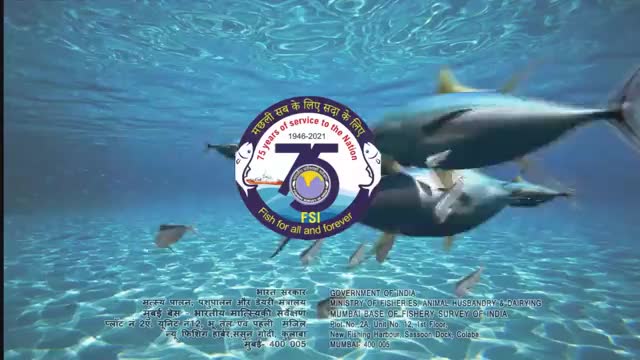 Marine Fisheries Exhibition