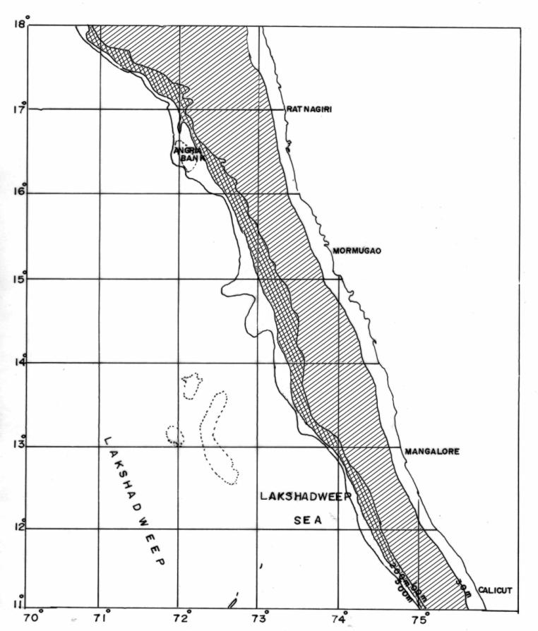 Survey Area
