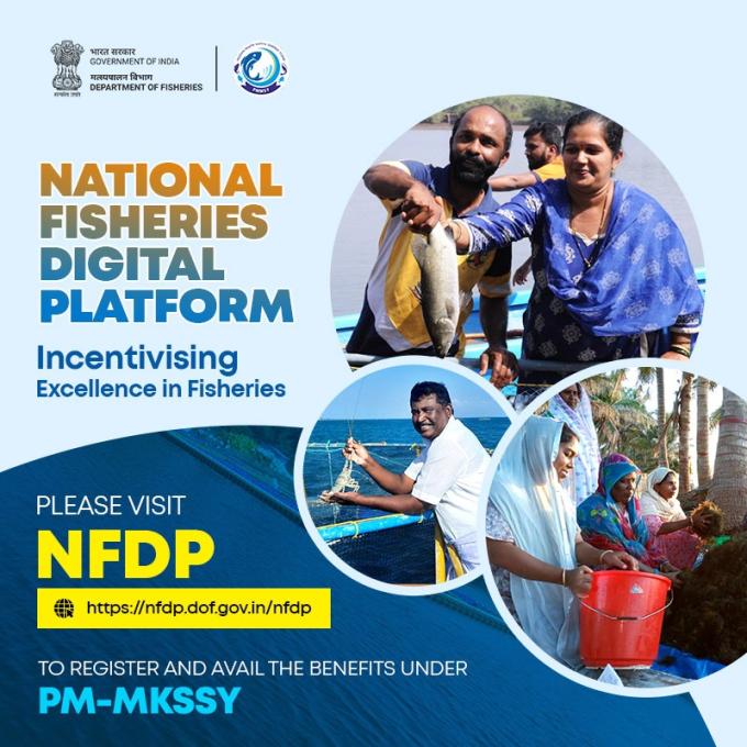 NFDP_Popup2