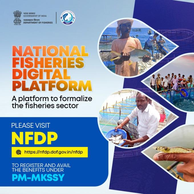 NFDP_Popup