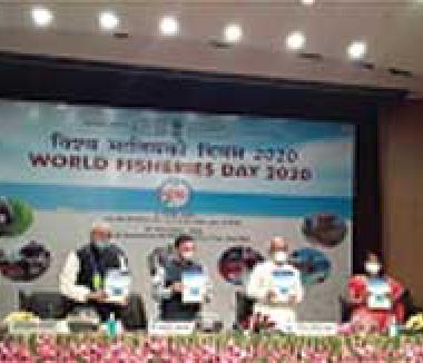 World Fisheries Day – 2020